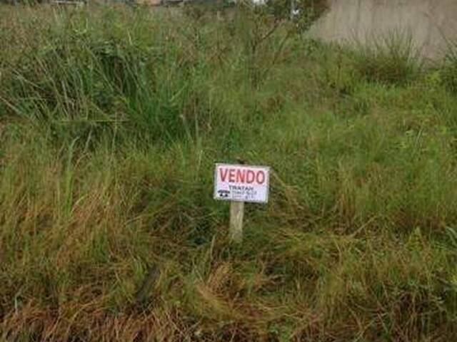 Terreno para Venda em Ilha Comprida - 2