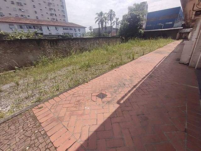 Terreno para Locação em Santos - 3