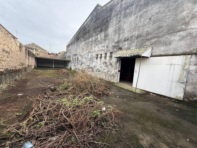 Galpão para Venda em Santos - 3