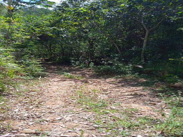 Terreno para Venda em Campo Limpo Paulista - 4