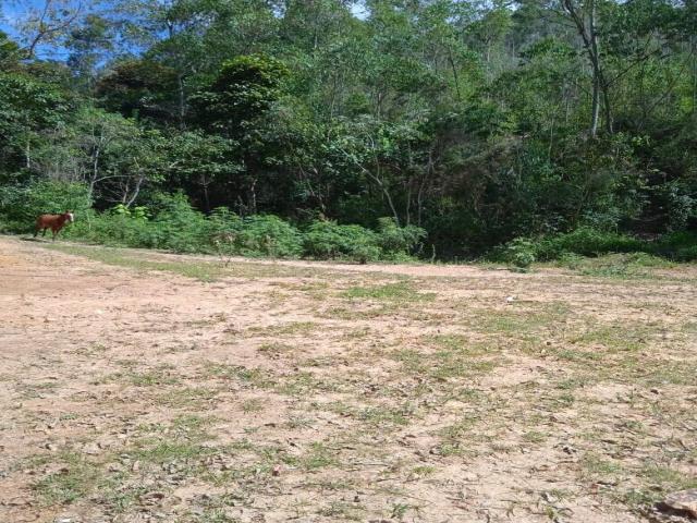 #1769 - Terreno para Venda em Campo Limpo Paulista - SP - 2