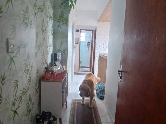 #4439 - Apartamento para Venda em São Vicente - SP