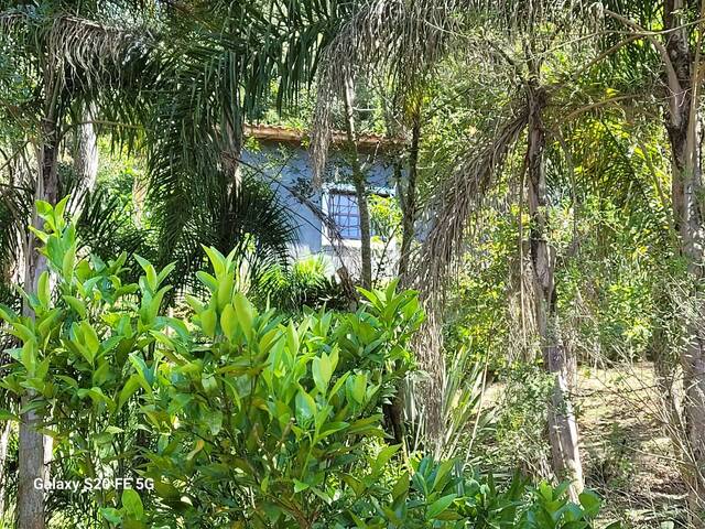 #4446 - Sítio para Venda em São Roque - SP