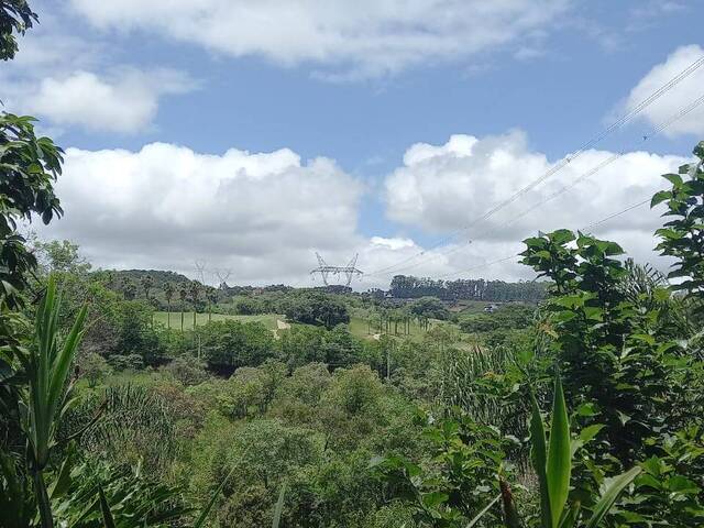 Sítio para Venda em São Roque - 5