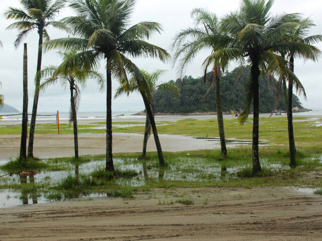 Venda em José Menino - Santos