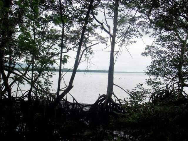 #12696 - Terreno para Venda em Bertioga - SP