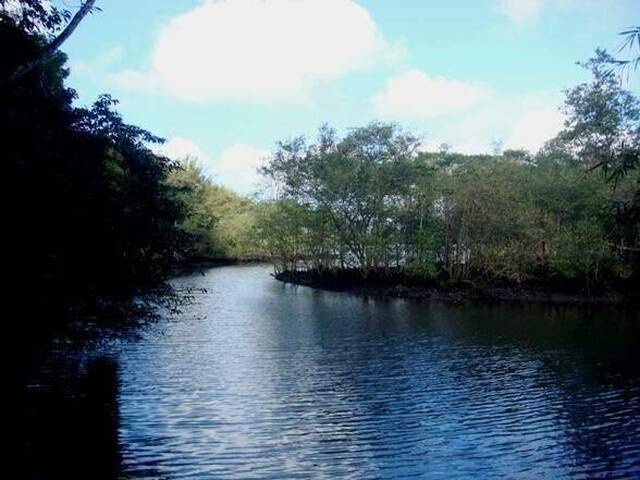 #12696 - Terreno para Venda em Bertioga - SP