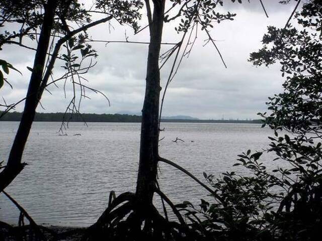 Terreno para Venda em Bertioga - 4